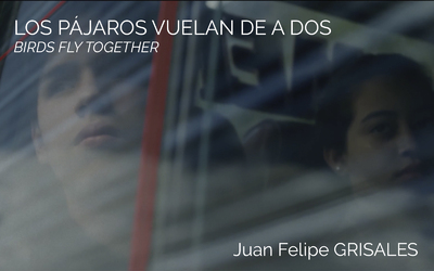 LOS PÁJAROS VUELAN DE A DOS