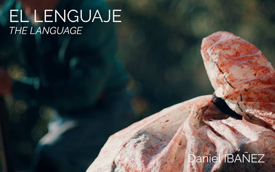 THE LANGUAGE