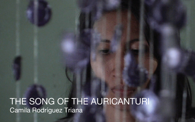 THE SONG OF THE AURICANTURI