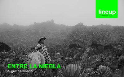 ENTRE LA NEBLA / A VANISHIG FOG