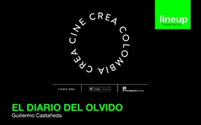 DIARIO DEL OLVIDO - El Principio del Film