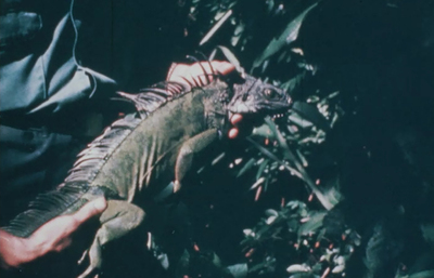 BIENVENIDOS CONQUISTADORES INTERPLANETARIOS Y DEL ESPACIO SIDERAL