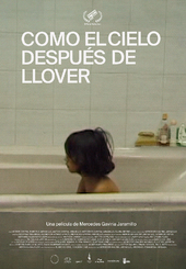 Afiche_Como el cielo despu�s de llover.png
