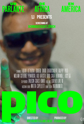 pico un parlante de africa en america.png