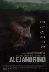 de alejandrino.png