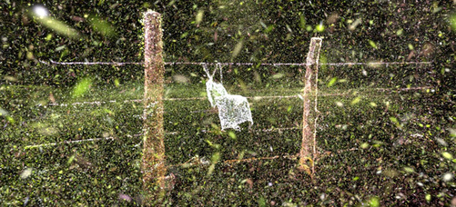 Nota secundaria 2_ZINEBI y premios TAL.png