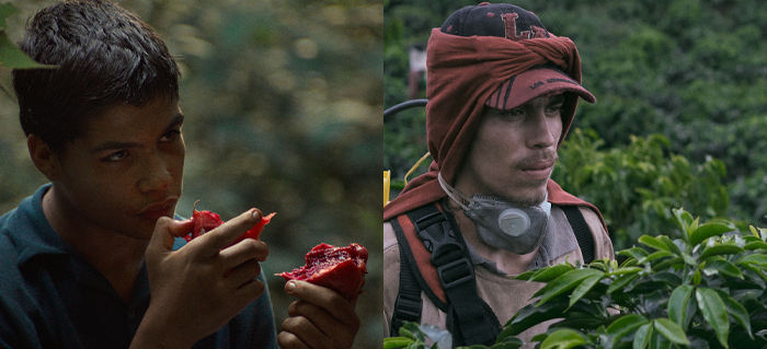 Nota secundaria 3_Estrenos francia.png