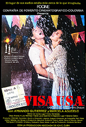 Visa USA.png