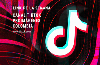 Link_semana.jpg