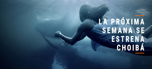 mmdd_es_fotografia_filename