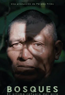 Bosques.jpg