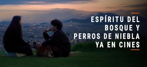 mmdd_es_fotografia_filename