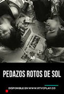 pedazos-rotos.jpg