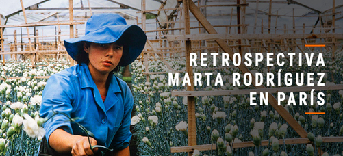 Nota Principal_Con texto.jpg