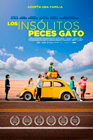 peces-gato.jpg