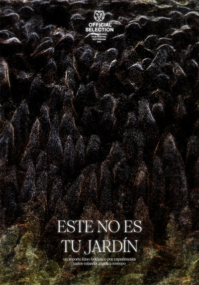 ESTE NO ES TU JARDÍN