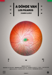 A DÓNDE VAN LOS PÁJAROS CUANDO LLUEVE 