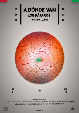 A DÓNDE VAN LOS PÁJAROS CUANDO LLUEVE 