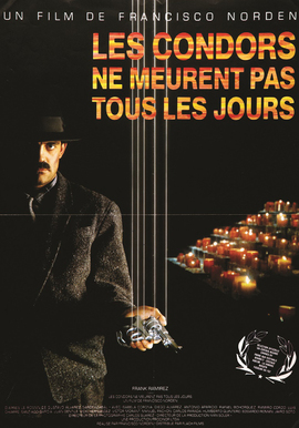 CÓNDORES NO ENTIERRAN TODOS LOS DÍAS