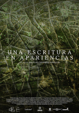 UNA ESCRITURA EN APARIENCIAS