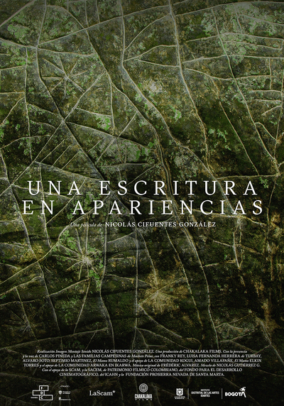 UNA ESCRITURA EN APARIENCIAS