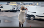 FOTO7-8.png