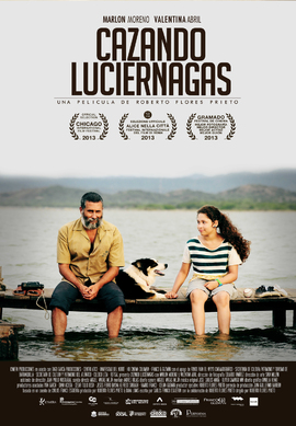 CAZANDO LUCIÉRNAGAS