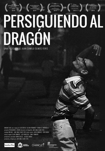 Afiche_persiguiendo al dragon.jpg